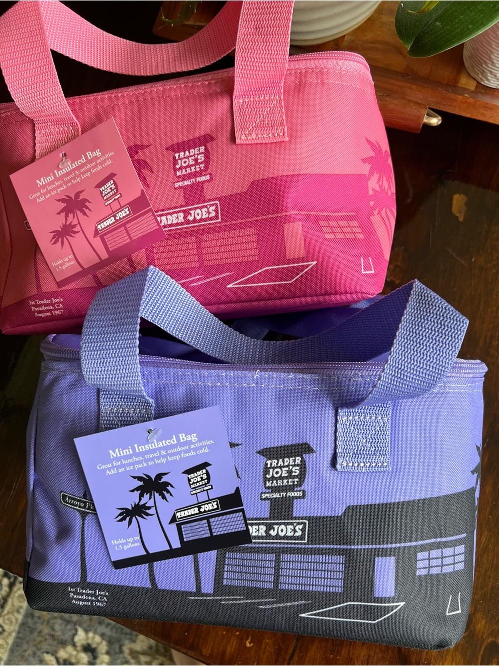 Trader Joe’s | (2) Spring Mini Cooler Bundle NWT